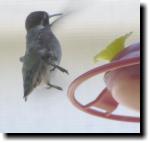 [ ch9/stripe3T.jpg ]